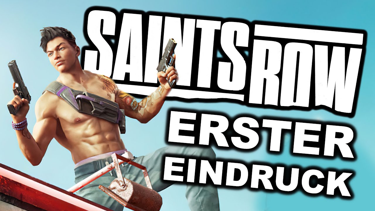 🧲 KRITIK & MEINUNG | Bestimmt ein gutes Spiel ... für DULLIES! | SAINTS ROW