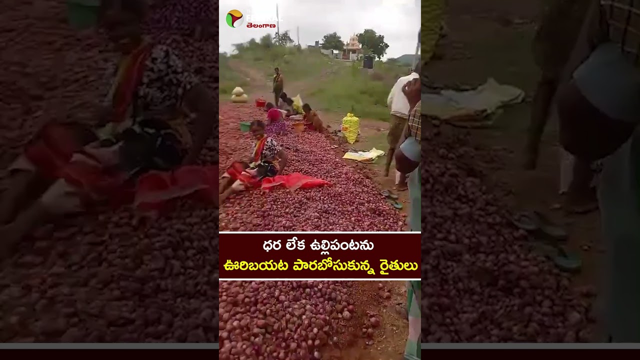 ధర లేక ఉల్లిపంట&zwnj;ను ఊరిబ&zwnj;య&zwnj;ట పార&zwnj;బోసుకున్న రైతులు #farmersissue #viralshorts #trendingvideos