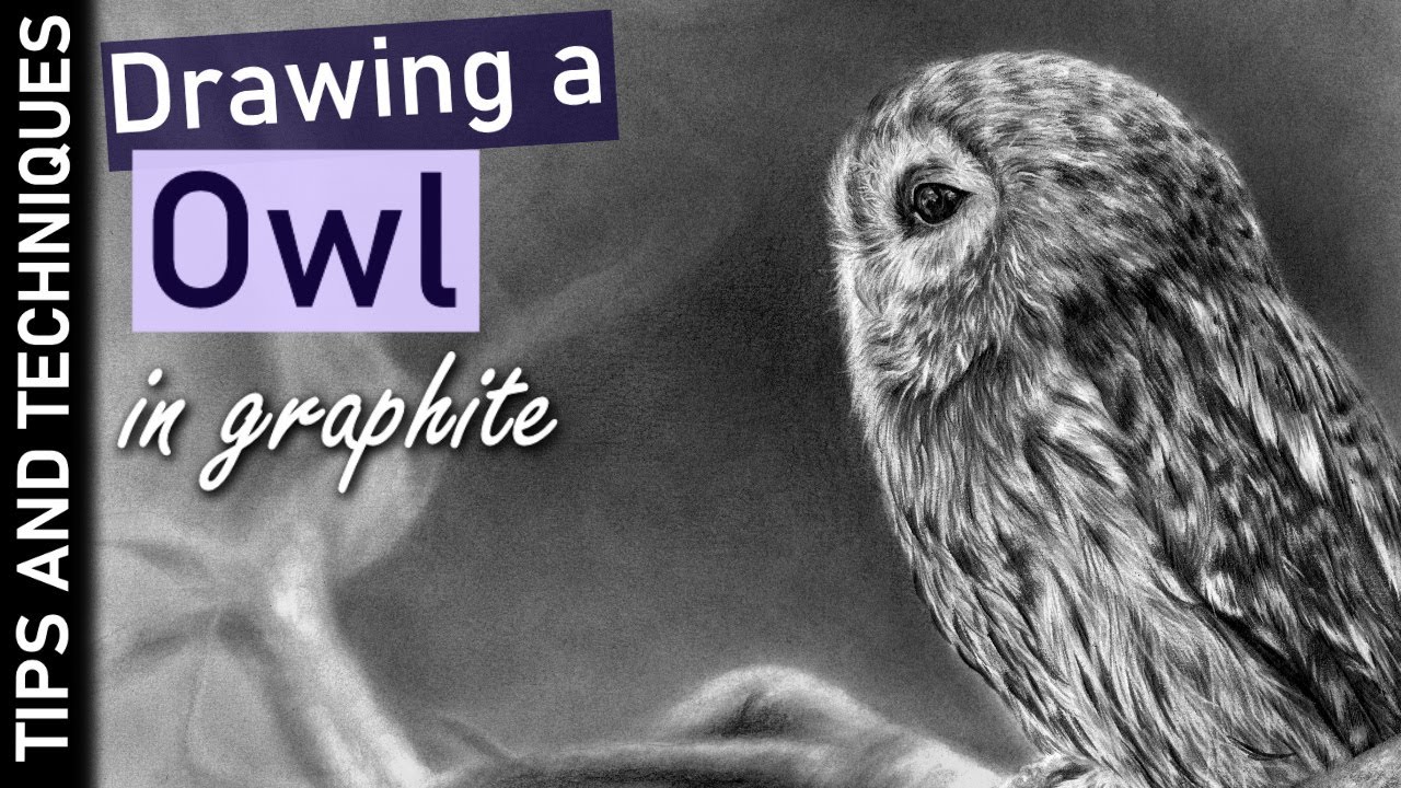 How to draw an Owl in graphite | Drawing feathers