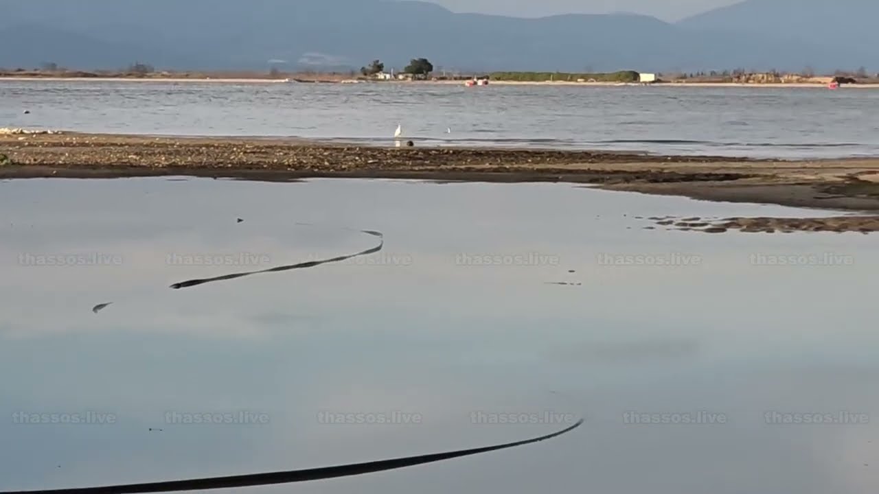 Πλημμύρες - Αμμόγλωσσα Κεραμωτής