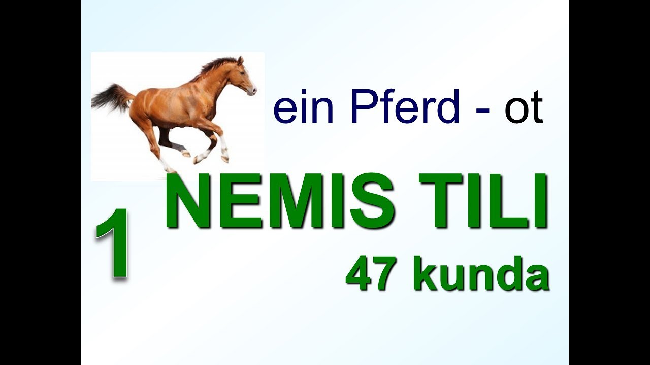 Немис тили 47 кунда. 1 кун. Кириш.
