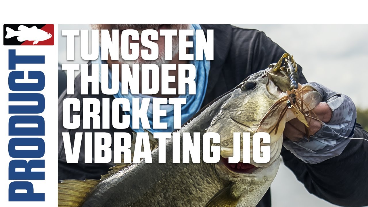 Bringing the Thunder (Cricket)! Menendez Talks Strike King Tungsten Thunder Cricket Vibrating Jig