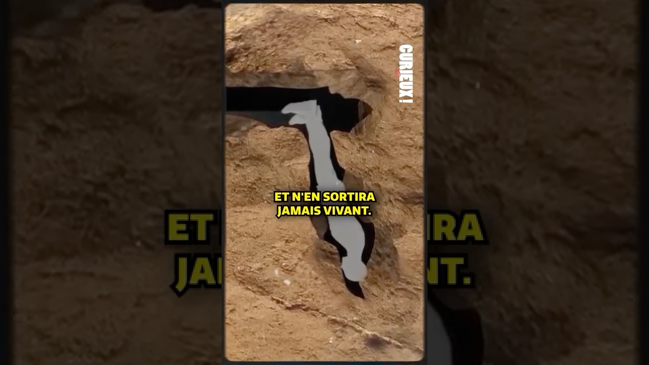 Il se coince en explorant une grotte… et n’en sortira jamais vivant