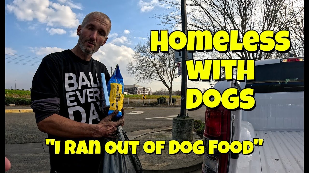Feeding Homeless People & Their Dogs | Providing Food, Supplies & Hope