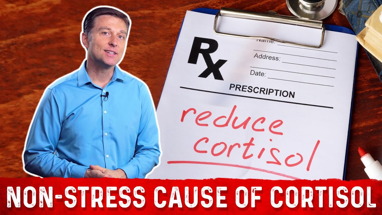The Non-Stress Cause of High Cortisol &ndash; Dr. Berg