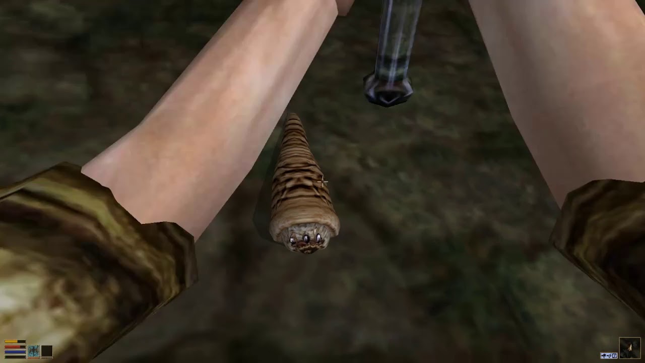 Morrowind.exe