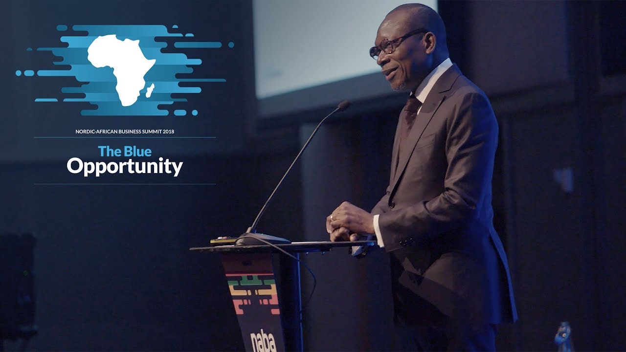 Nordic-African Business Summit 2018
