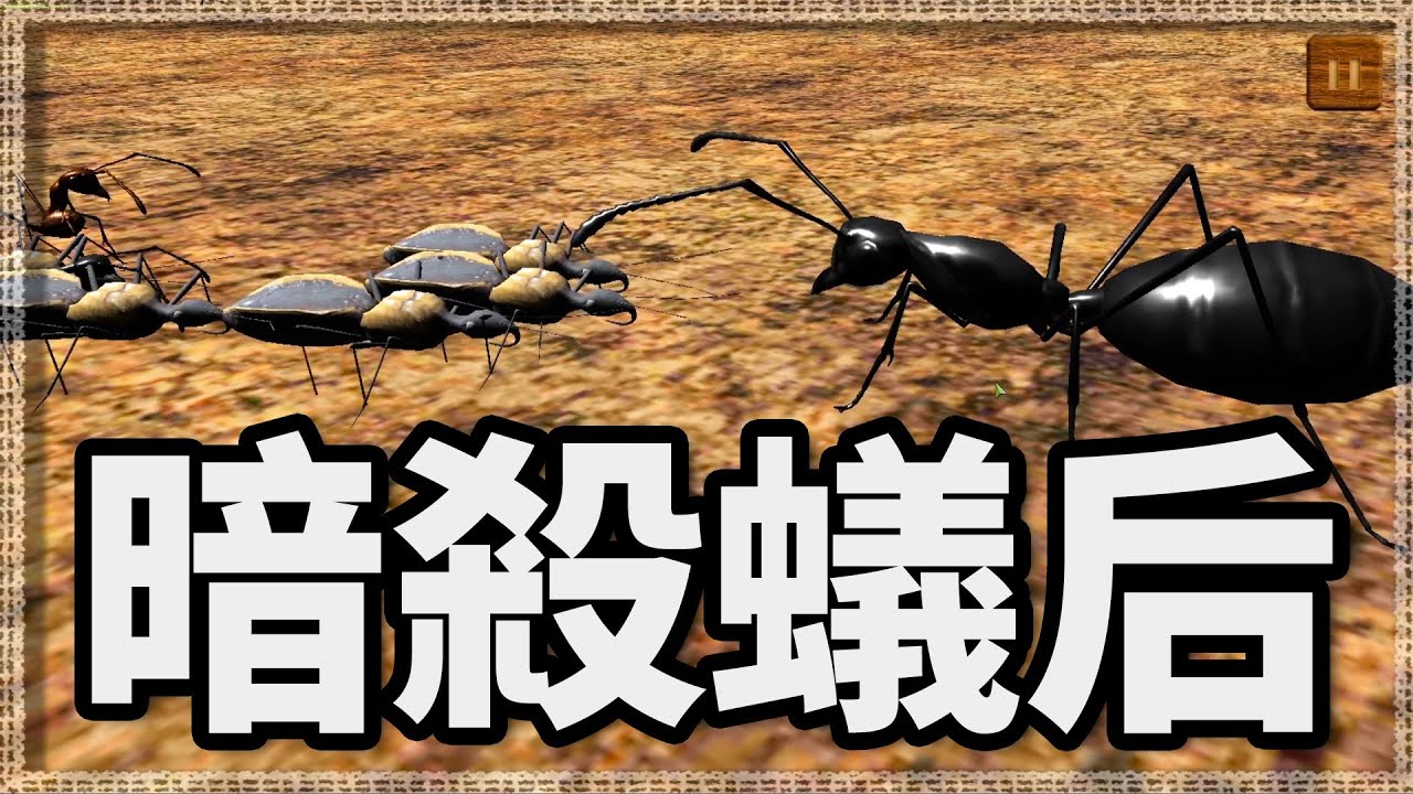 【昆蟲戰爭模擬器】🚧穿越防線🔪暗殺蟻后🐜 #2