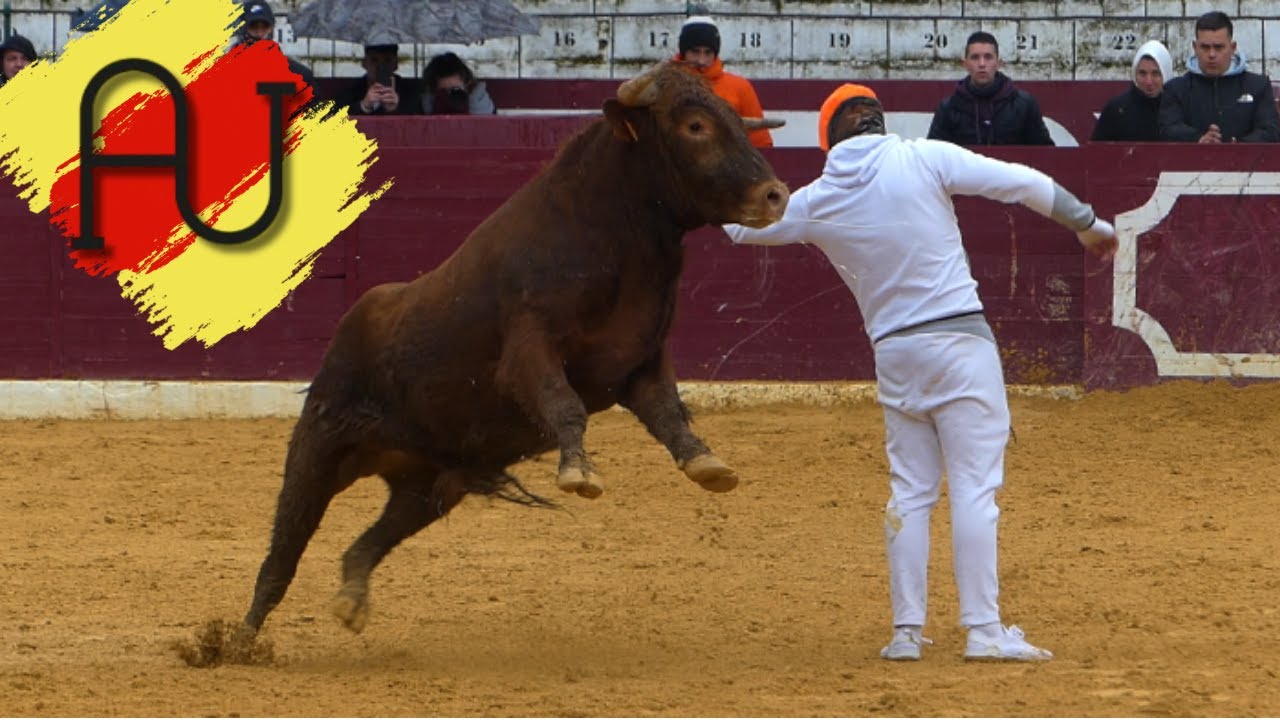Mucha calidad!! Tienta privada/Tarazona con Ustarroz