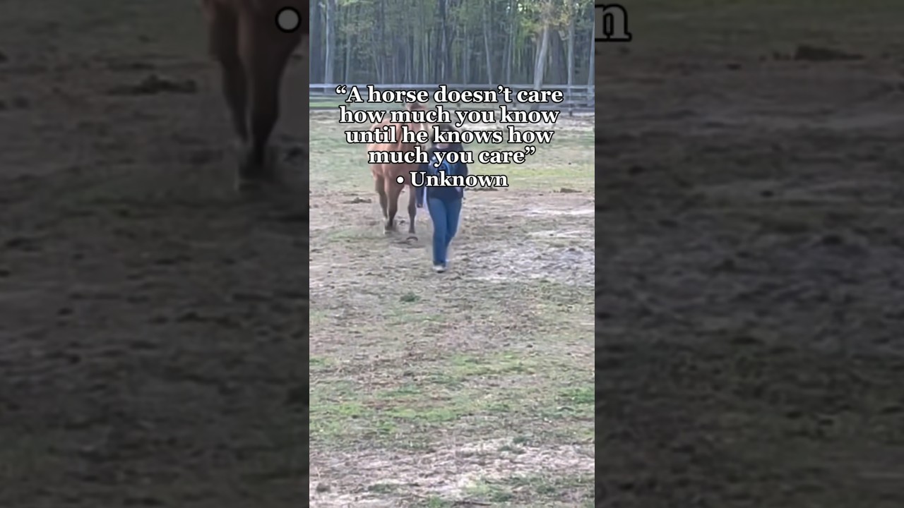 Daily Dose Of Barrel Racing Quotes Day 8 | 