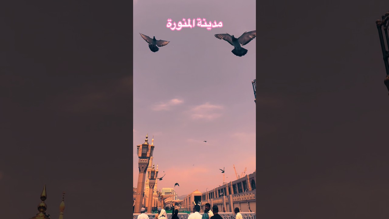#madinah مدينة المنورة. #islamic #madinah  #makkah #saudiarabia #pakistan #bangladesh