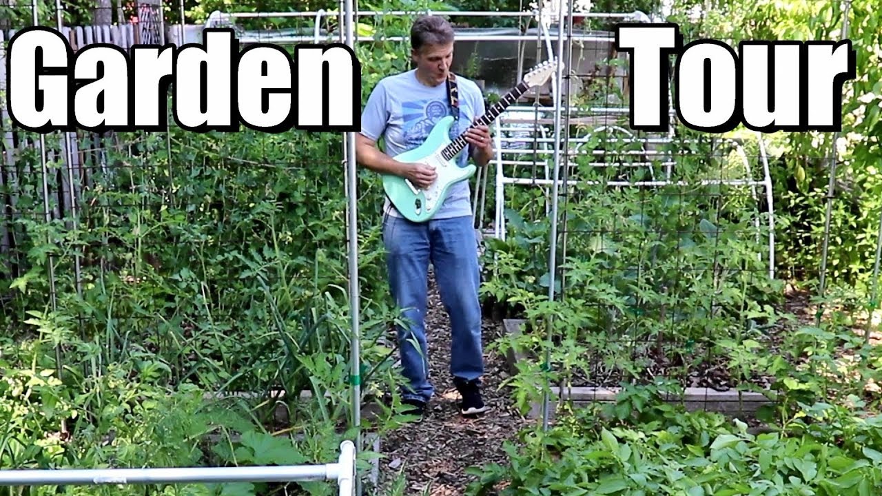 Perennial Fruit Tour (trees, berries, grapes) & Patrick Plays Guitar