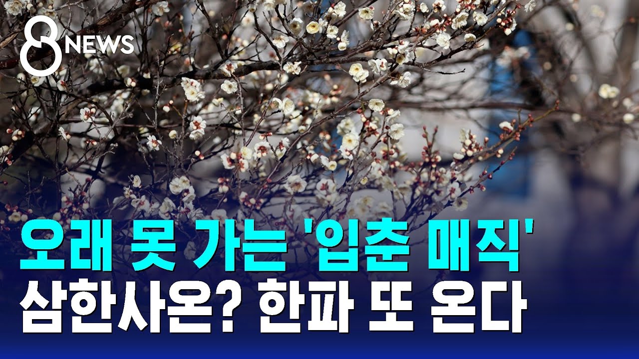 오래 못 가는 '입춘 매직'…'삼한사온' 옛말, 한파 또 온다 / SBS 8뉴스