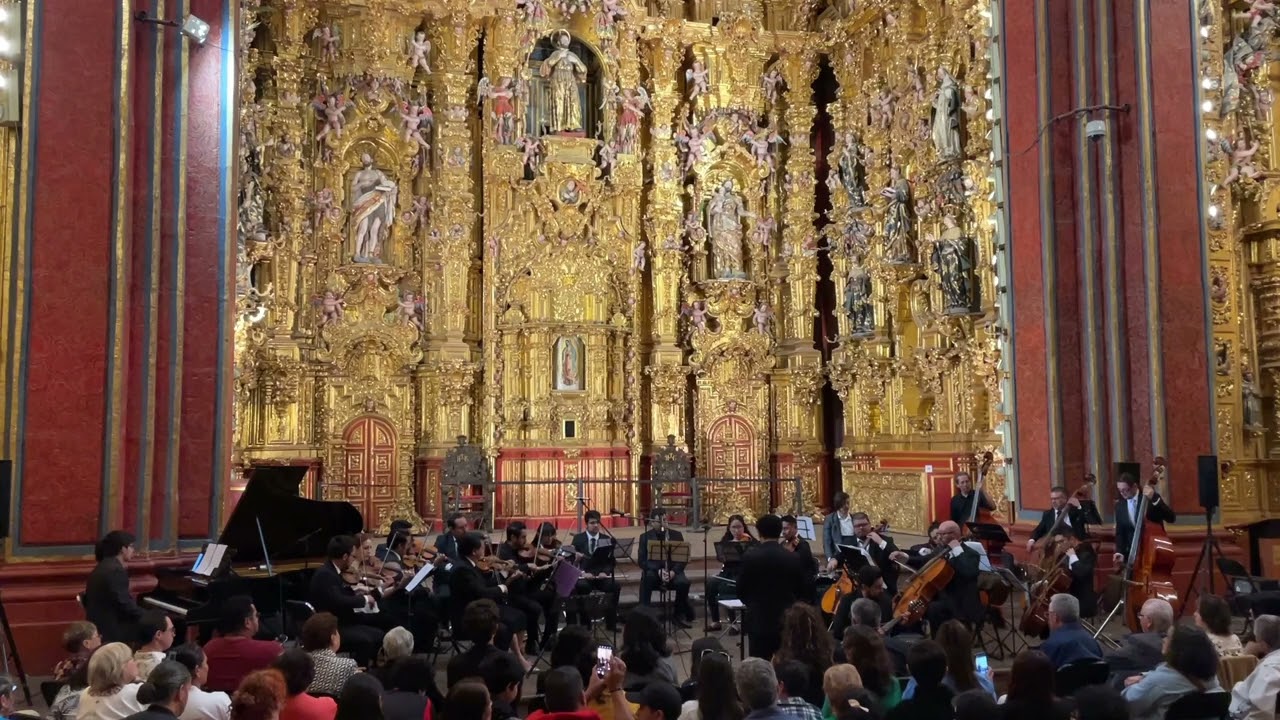 Vivaldi Mandolina C