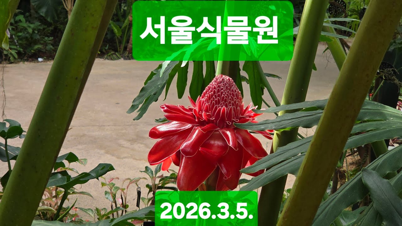 서울식물원 (2026.3.5)