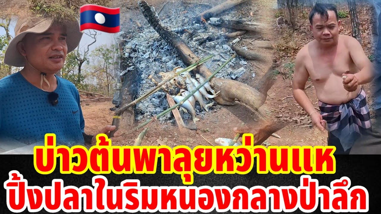 🇱🇦บ่าวต้นพาลุยหว่านแหปิ้งปลาในริมหนองกลางป่าลึกสปปลาว