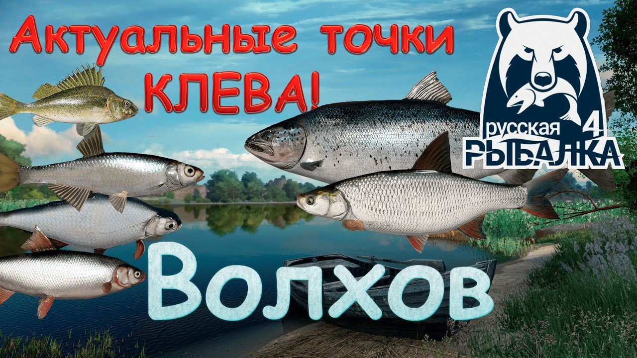 Актуальные точки клева на реке Волхов. Русская рыбалка 4. Аккаунт универсал.