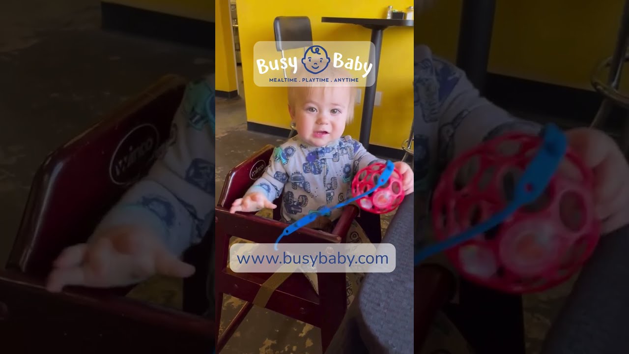 Never lose baby's favorite toy again! 