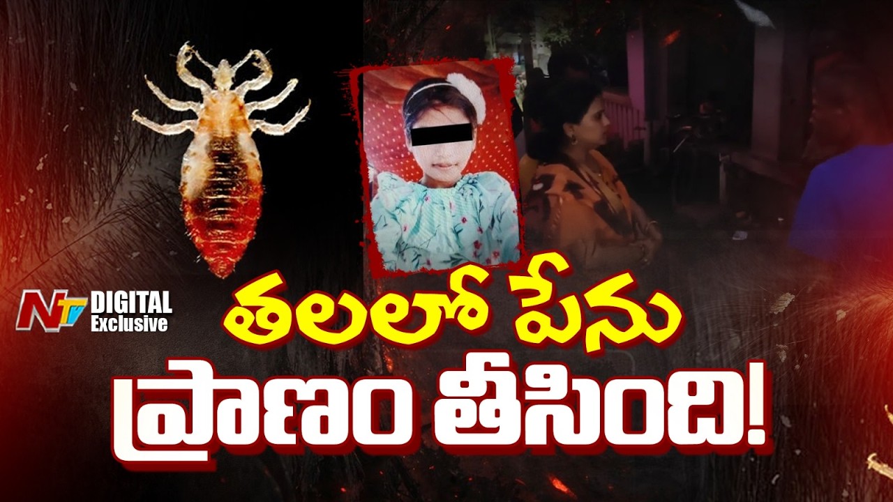 12 ఏళ్ల బాలిక ప్రాణం తీసిన తలలో పేలు! | Head Lice Infestation | NTV Digital Exclusives