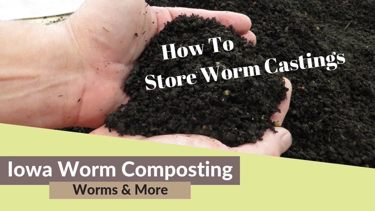 How To Store Worm Castings