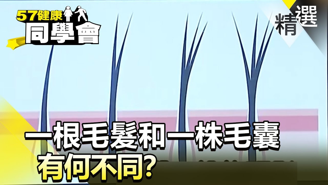 一根毛髮和一株毛囊有何不同？【健康同學會】精華篇