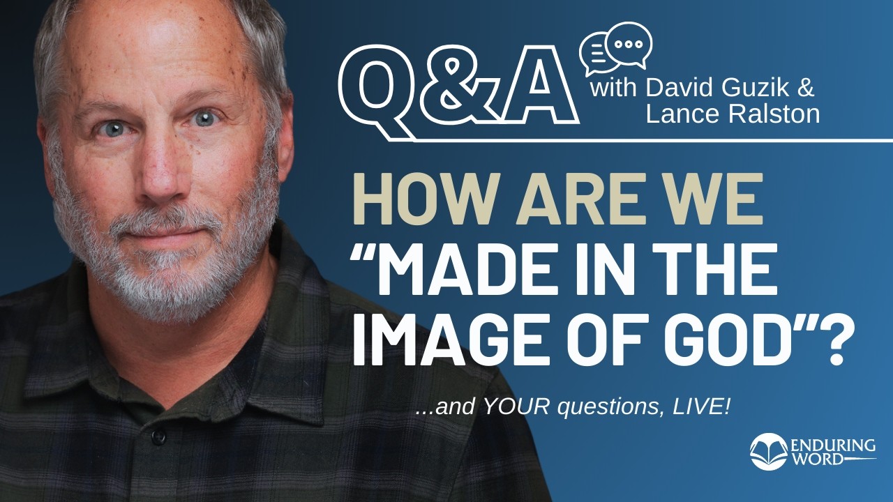 In What Ways Are We “Made in the Image of God”? LIVE Q&A!