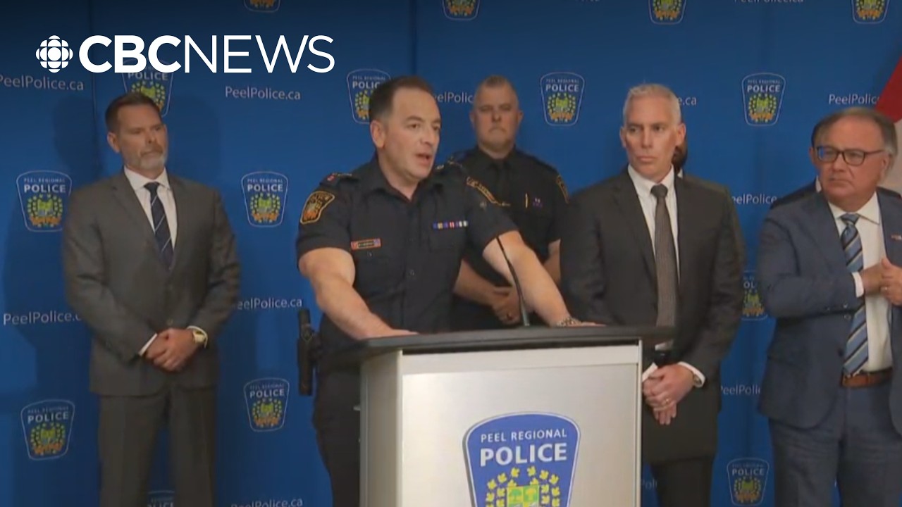 Police speak on Air Canada pilot who allegedly flew without proper licence