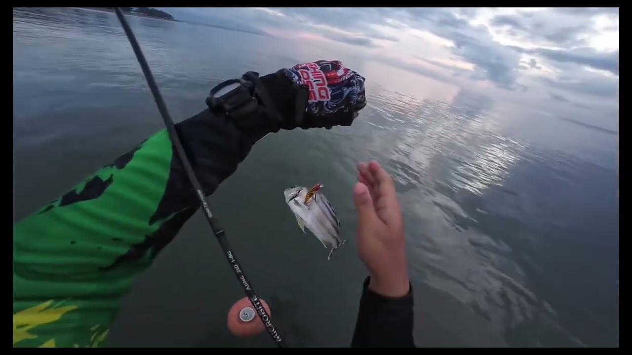 Ajing game | Light game | Ultralight fishing ep. 24