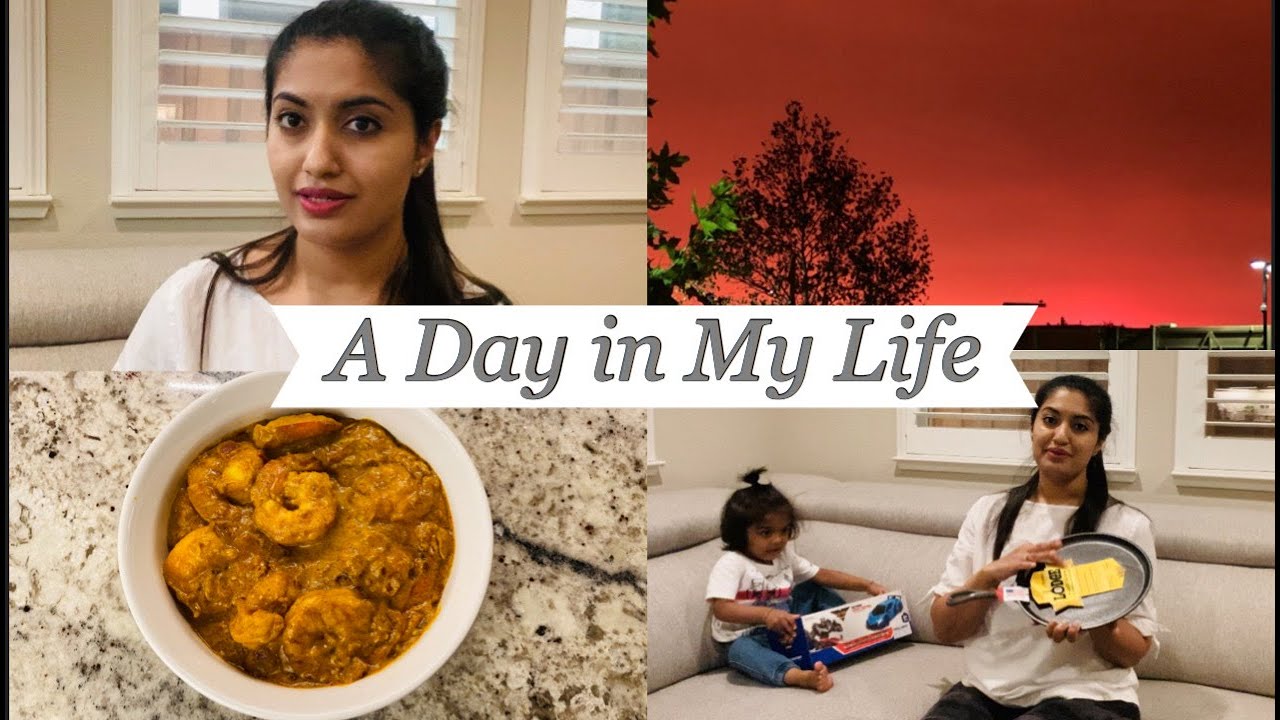 ಯಾಕೆ ಜಾಸ್ತಿ Videos ಮಾಡ್ತಾ ಇಲ್ಲ?? What's Happening(Orange Skies)!! Shrimp Curry || Multi-tasking ||