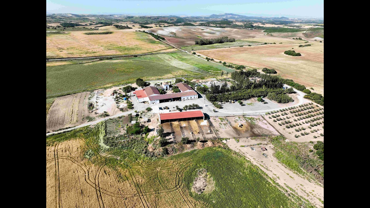 Gran finca de labor de 392 has. Ideal para la cría de caballos 🐎 entre Sevilla y Jerez