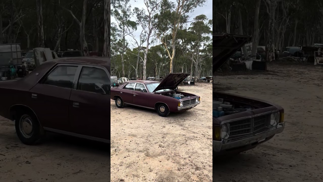 Виджеи повсюду 🤣