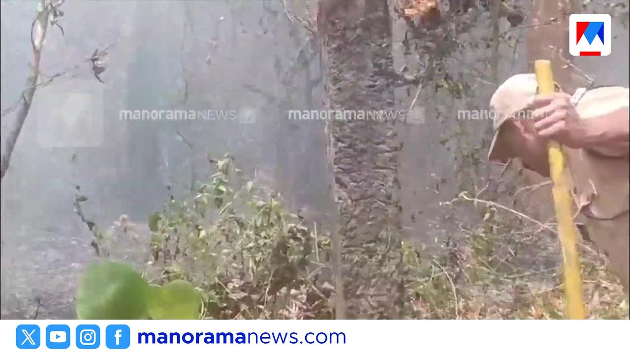 വനമേഖലയിൽ വൻ കാട്ടുതീ: തേക്ക് പ്ലാന്റേഷനിലേക്ക് പടരുന്നു | Nilambur