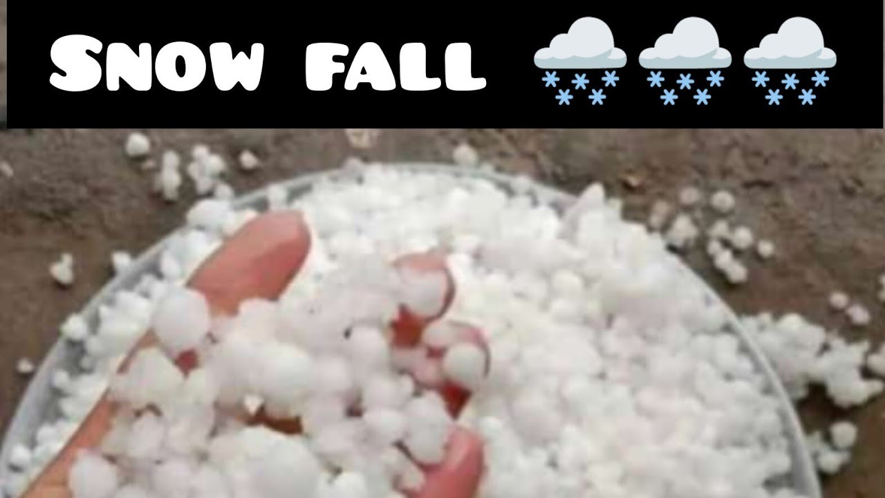 Rain with snowfall 🌧️🌧️[बर्फबारी के साथ बारिश]@gardeningwithhiba #snowfall #snow #trending #rain