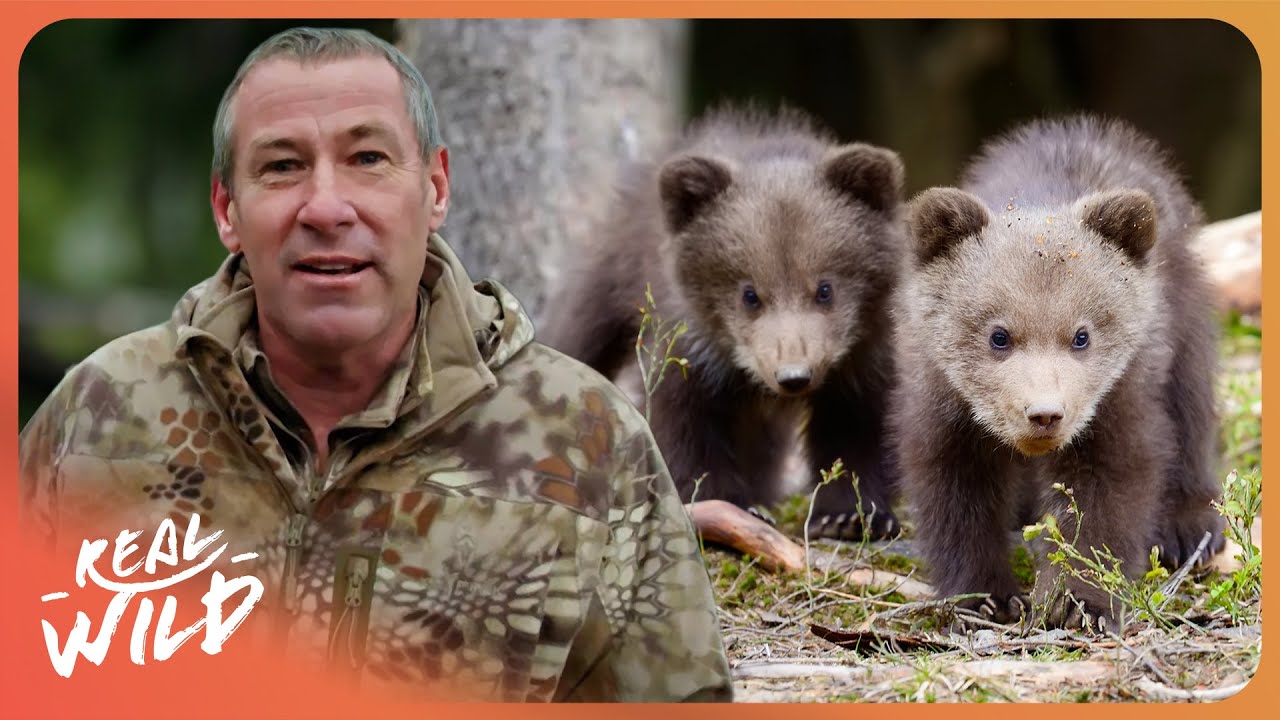 The Secret Mission to Save Elusive Black Bears | Ivan Carter