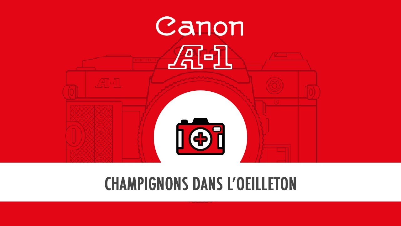 Des champignons sur l'oeilleton d'un Canon A1 ? On nettoie tout ca ( + une belle connerie en bonus)
