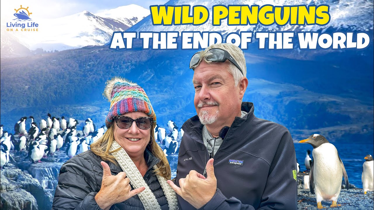 We Saw Penguins in the Wild! 🐧✨ Our Adventure in Ushuaia, Argentina