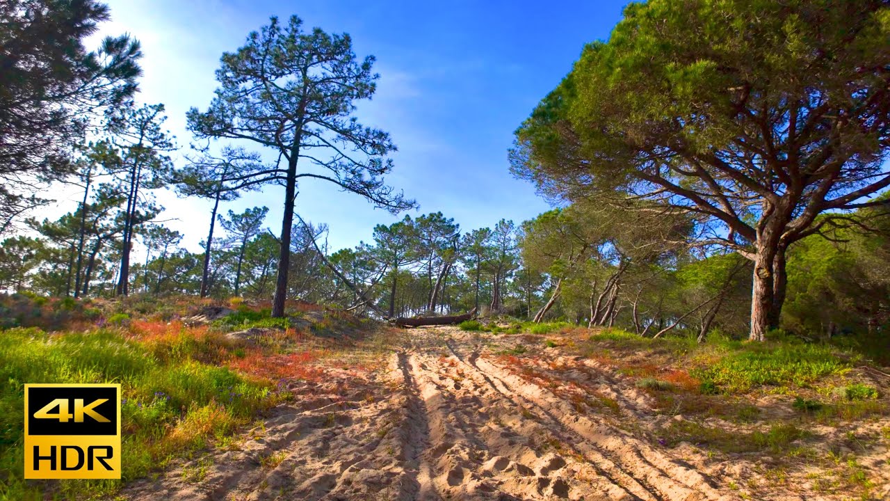 Portugal Countryside & Beach Walk: MECO & LAGOA DE ALBUFEIRA 4K HDR