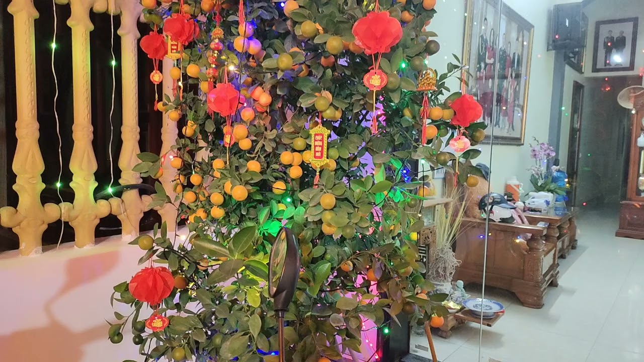Ngày 20 tháng chạp năm Ất Tỵ