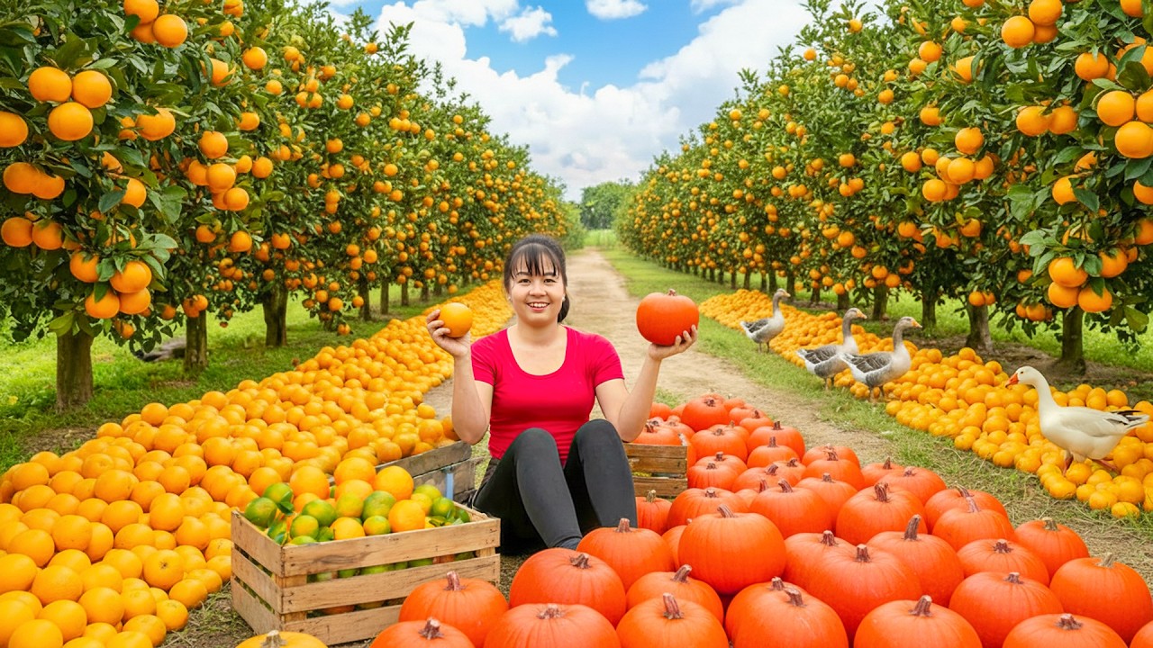 TIMELAPSE -- Harvest 1000+ Tons of Giant Tangerines & Pumpkins, Go to Market Sell