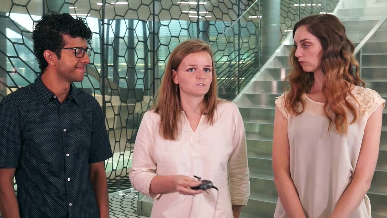 THRIVE &ndash; Helping refugees find jobs in Geneva
