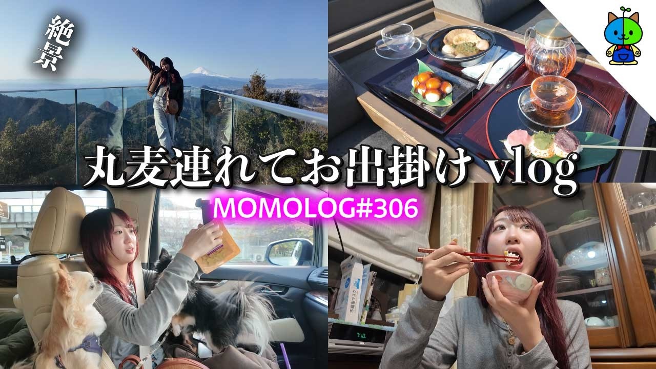 【vlog】犬連れで行く伊豆パノラマパークからの伊東の婆ちゃん家【MOMOLOG_306】