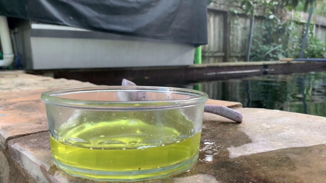 Cleaning Profidrum RDF Screen with Acid