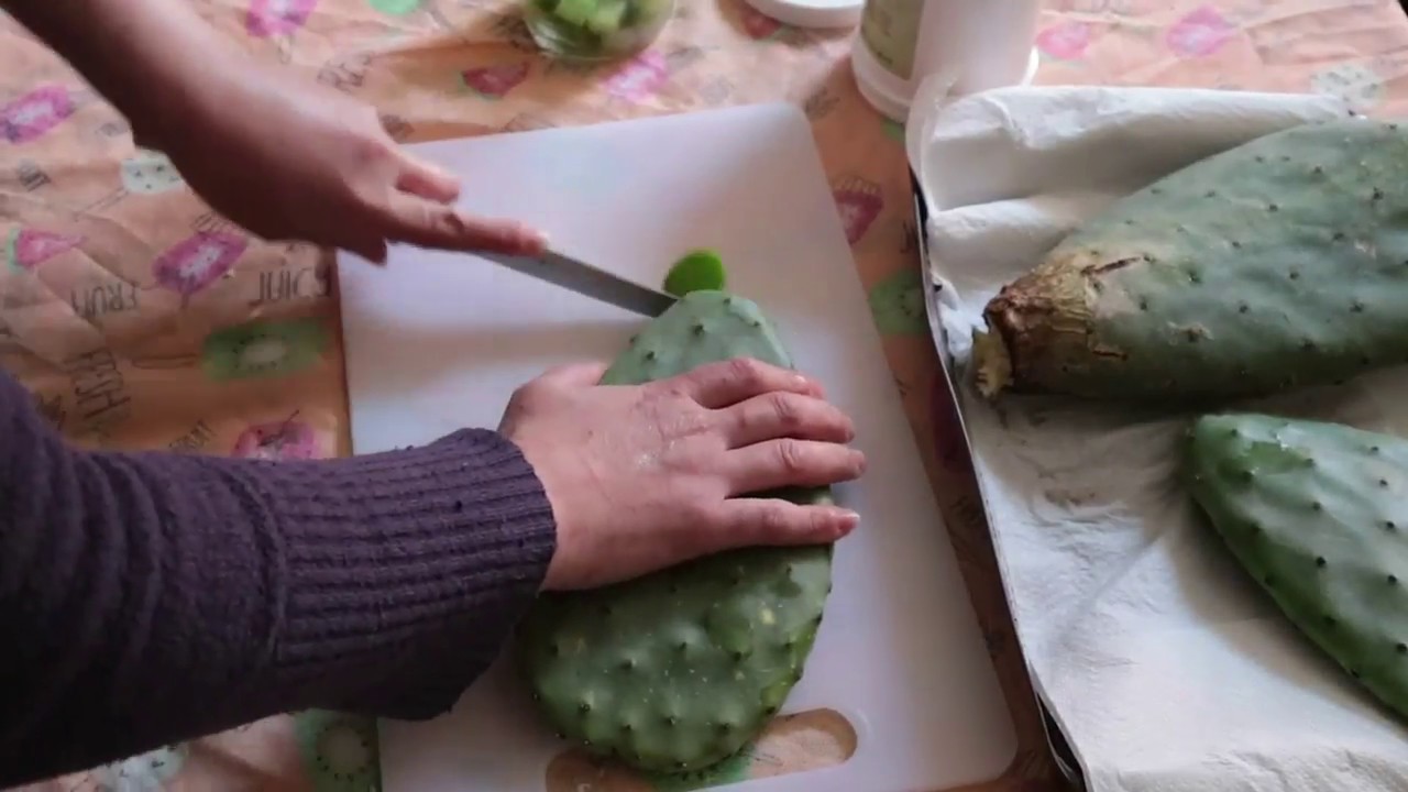 Nopal/ Pale di fico d'India in olio d'oliva