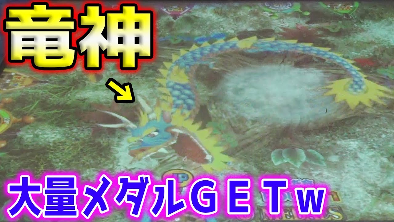 魚や竜神をアミで捕まえるメダルゲームが色々とヤバすぎるｗｗ【アミNo.3】