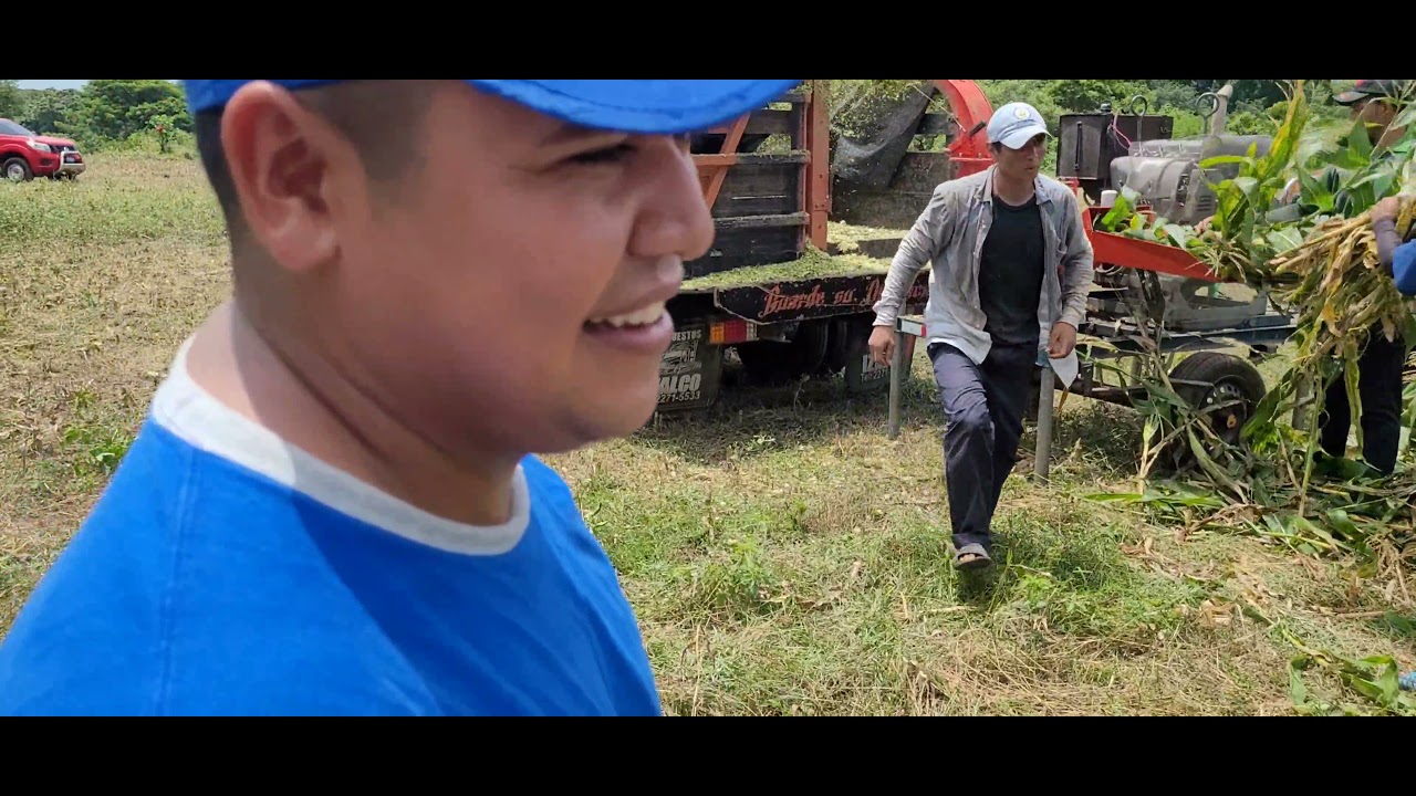 Venta de Silo de Maíz 🌽  con todo y elote en Santa Elena Usulutan El Salvador On