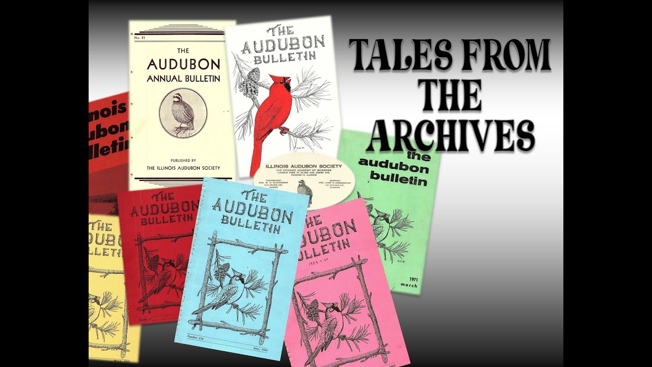 Tales from the Archive #9: Mary Ann Hoeffliger