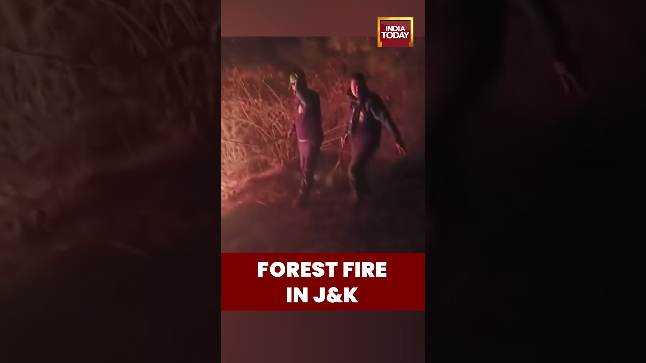 Forest Fire Doused in #handwara | Swift FPF & Fire Services Operation in Rajwar