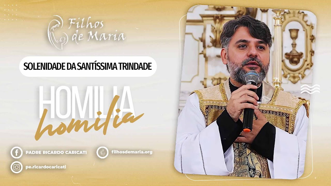 Homilia - (Jo 16, 12-15) | 