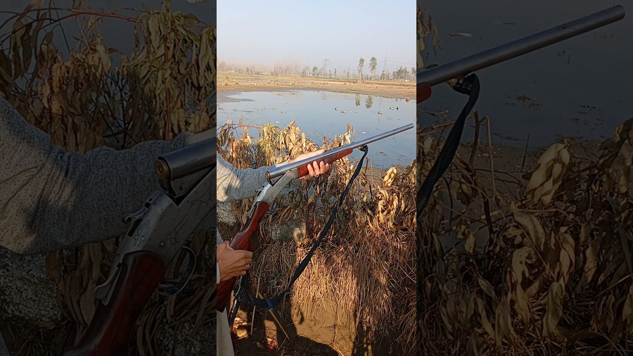Duck hunting with single barrel shotgun | Duck Hunting in KPK Pakistan | Hunting with 12 gauge gun