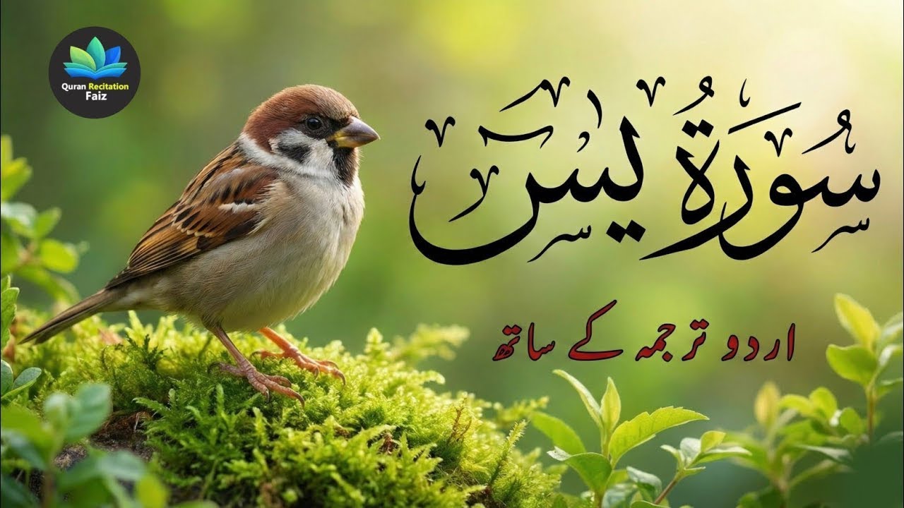 Surah Yasin (Yaseen) | Solve All Problems & Fulfills Needs | Powerful Recitation #surahyasin